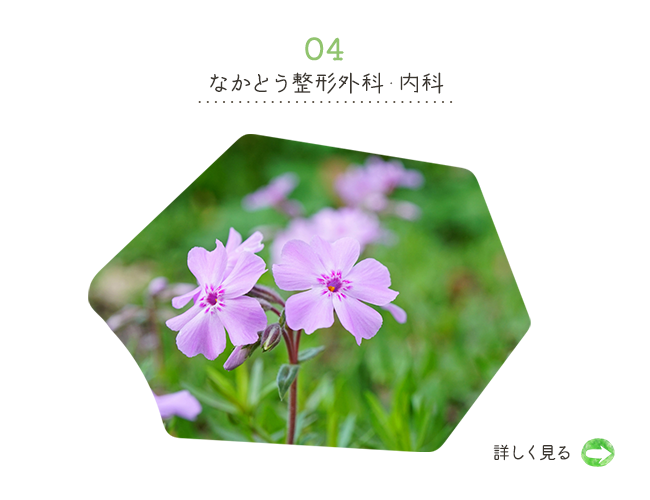bnrhalf_04